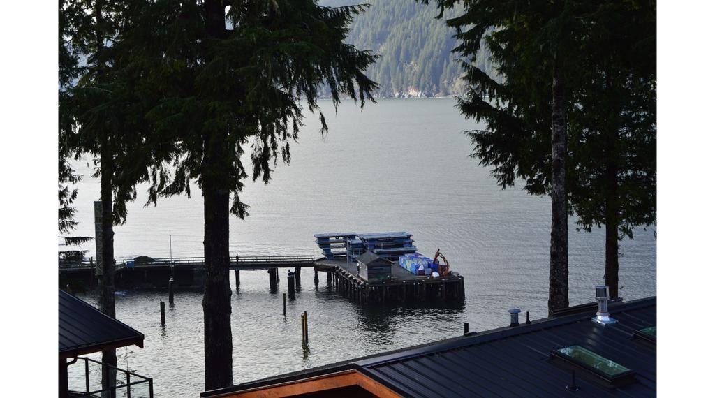 Pair-A-Dice Cottage Port Renfrew Ruang foto